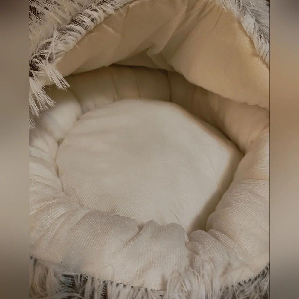 NWOT Pawsome Coutour Pet 